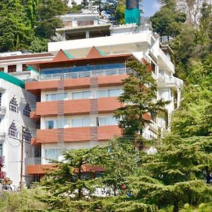 Citrus Classic Mcleodganj